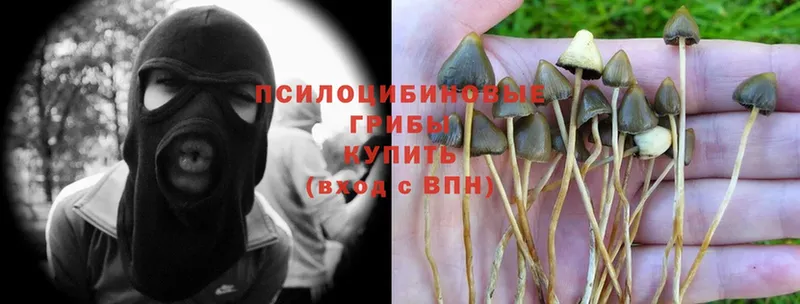 Галлюциногенные грибы Magic Shrooms  Зеленогорск 